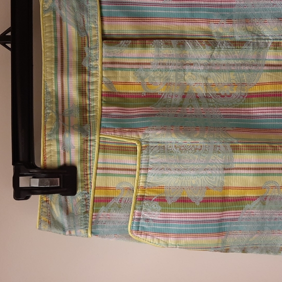 NWOT, Cynthia Steffe Paisley Stripe Skirt - Picture 3 of 13